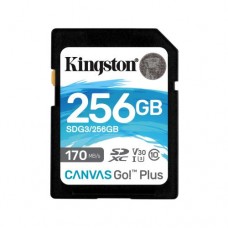 256GB SDXC memorijska karti